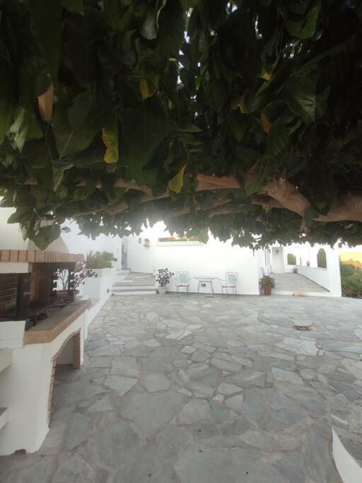 Stellinas Pretty House Villa อานดรอส ภายนอก รูปภาพ
